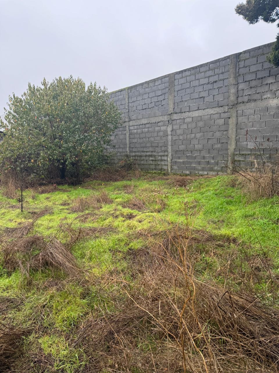 Casa en venta en Los Muermos — foto 7