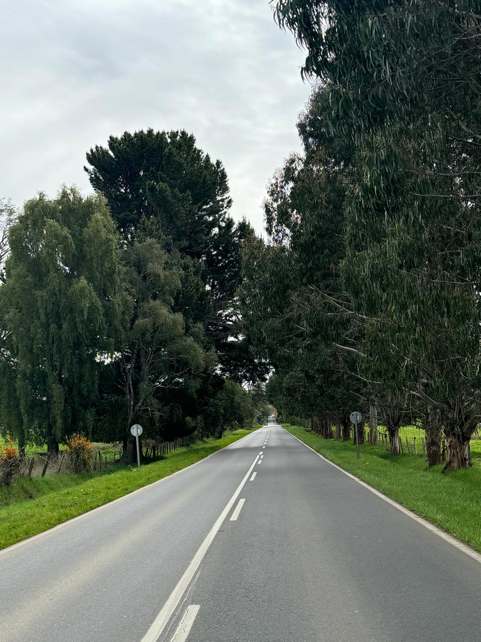 Terreno en venta en Puerto Varas — foto 2