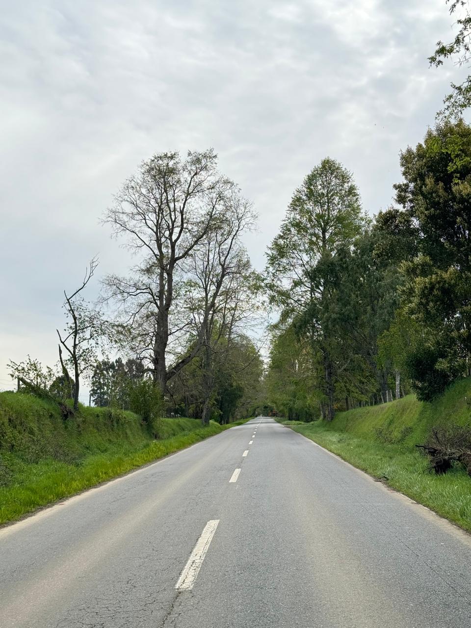 Terreno en venta en Puerto Varas — foto 3