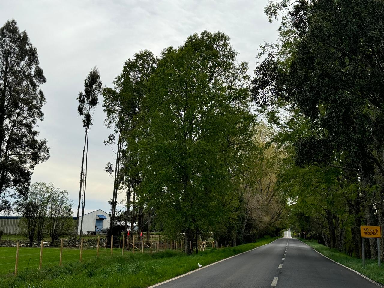 Terreno en venta en Puerto Varas — foto 4
