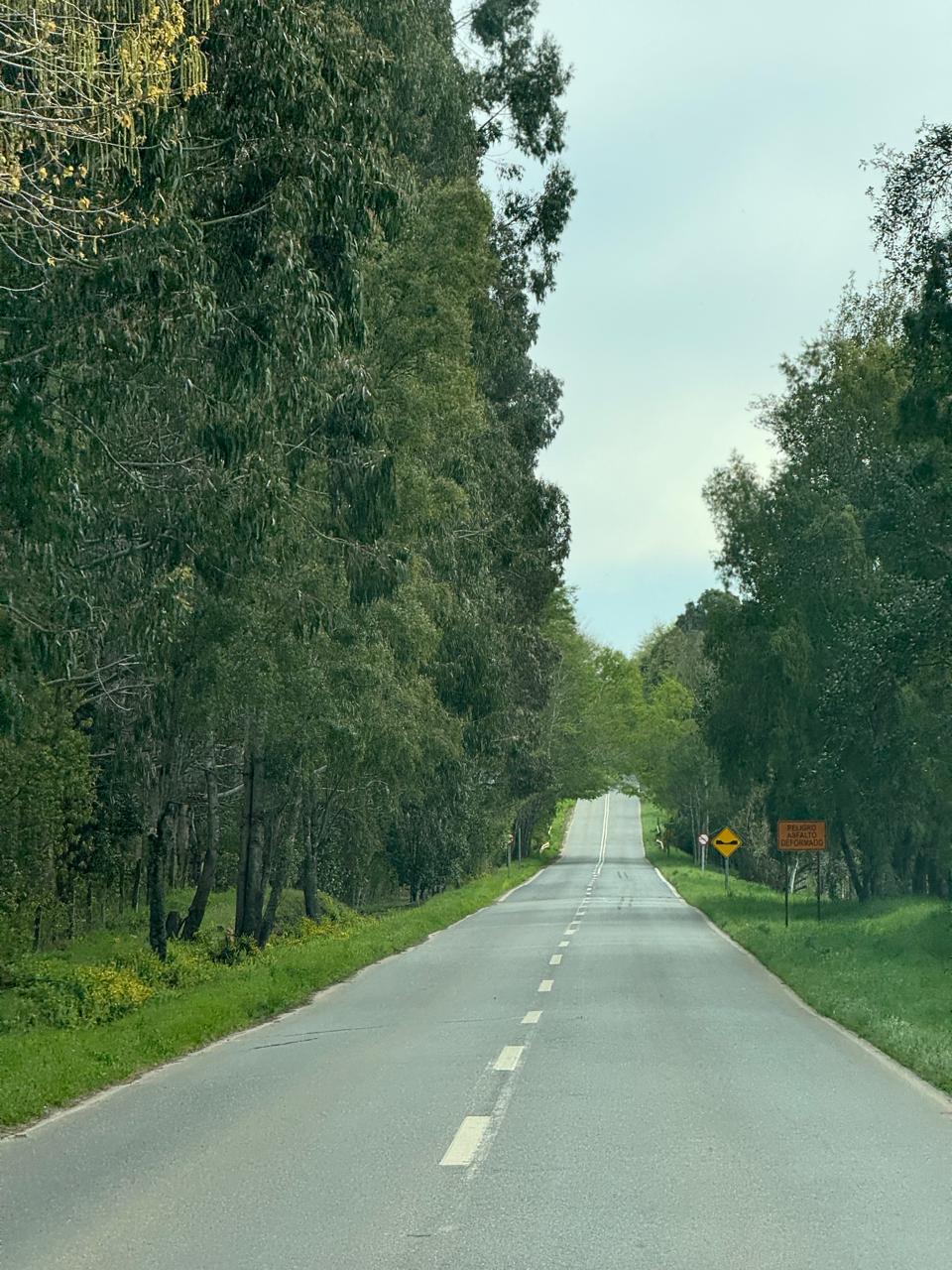 Terreno en venta en Puerto Varas — foto 6