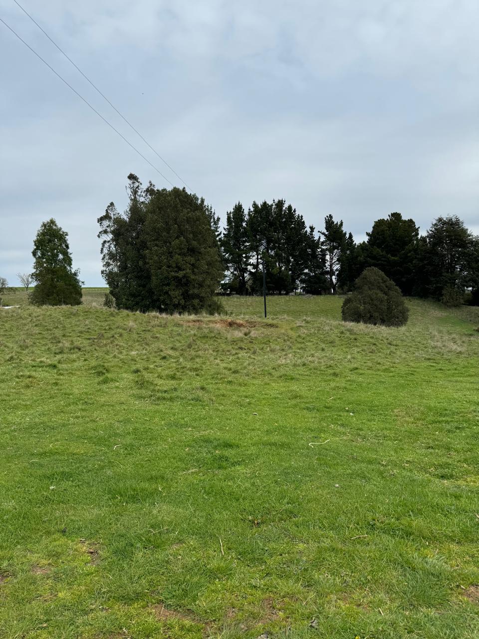 Terreno en venta en Puerto Varas — foto 8