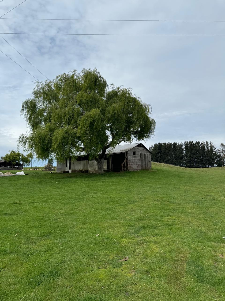 Terreno en venta en Puerto Varas — foto 9