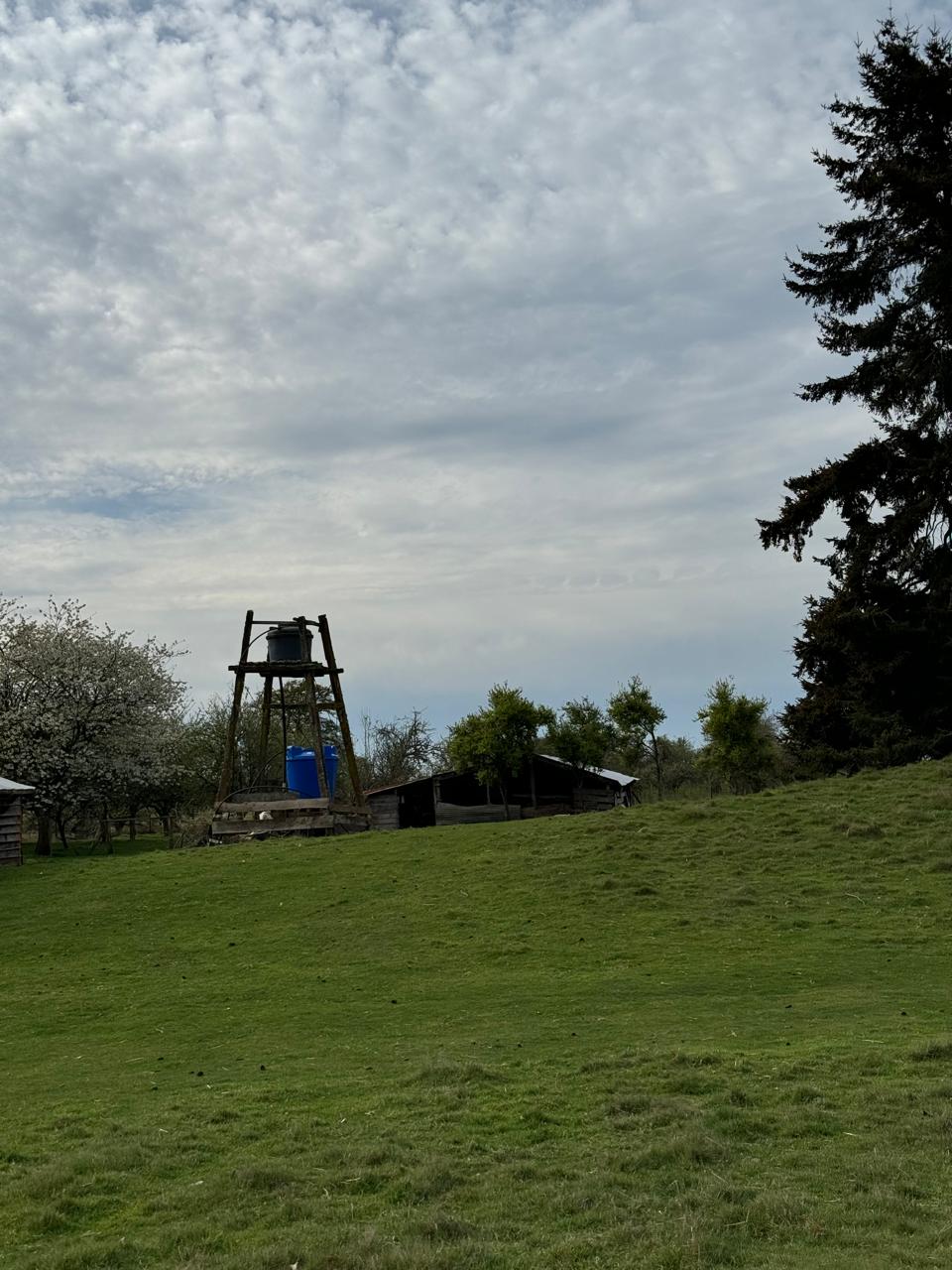Terreno en venta en Puerto Varas — foto 10