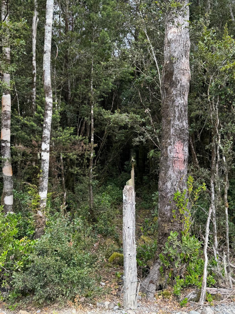Parcela en venta en Puerto Montt — foto 5