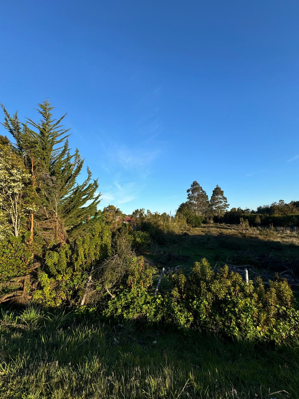 Parcela en venta en Puerto Montt — foto 8