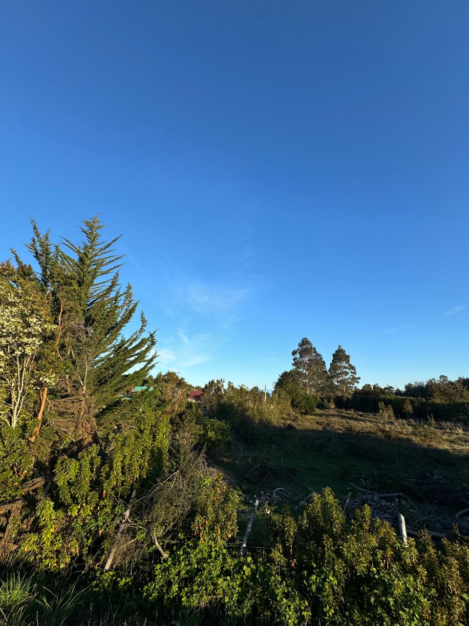 Parcela en venta en Puerto Montt — foto 9