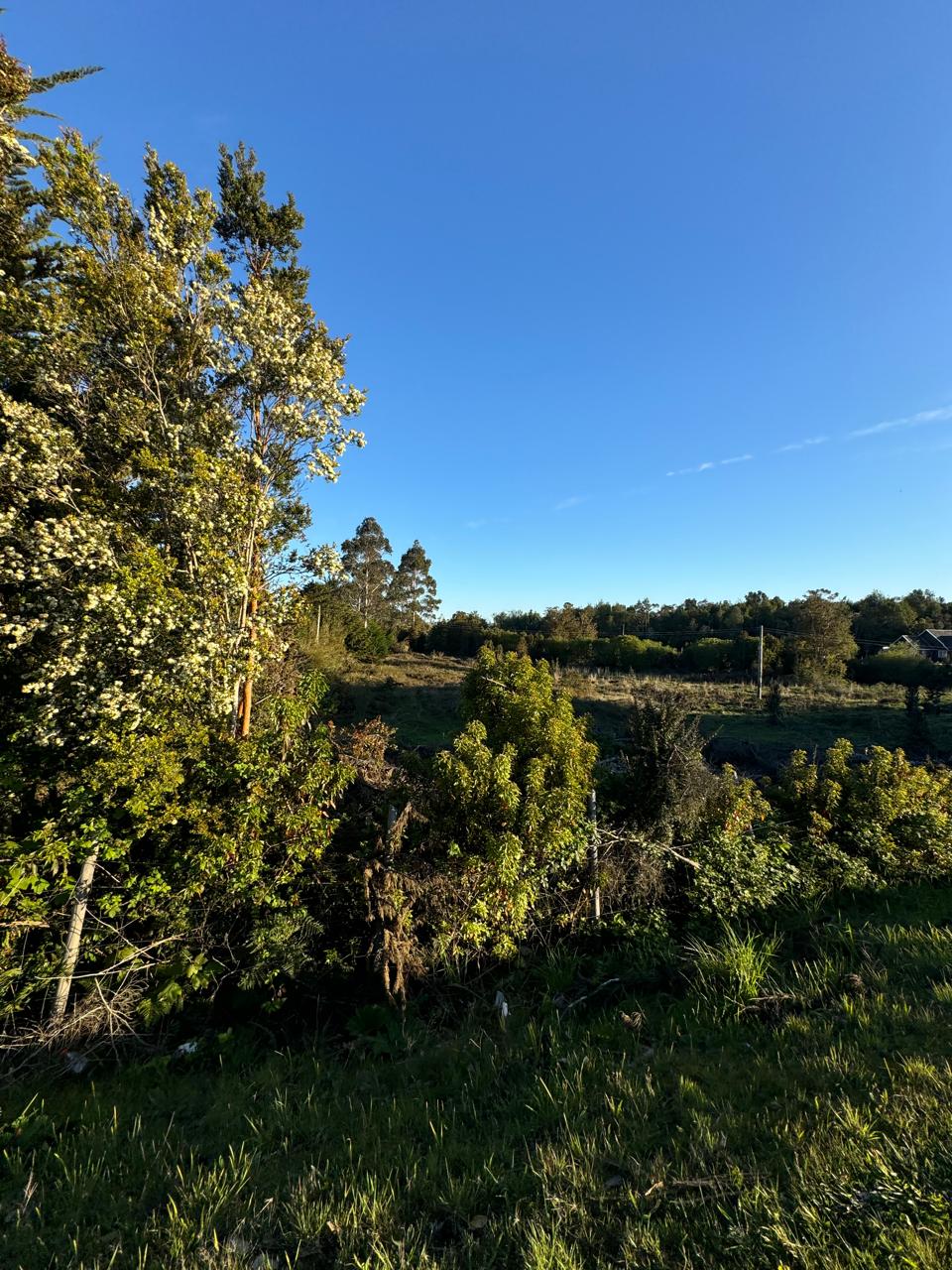 Parcela en venta en Puerto Montt — foto 10