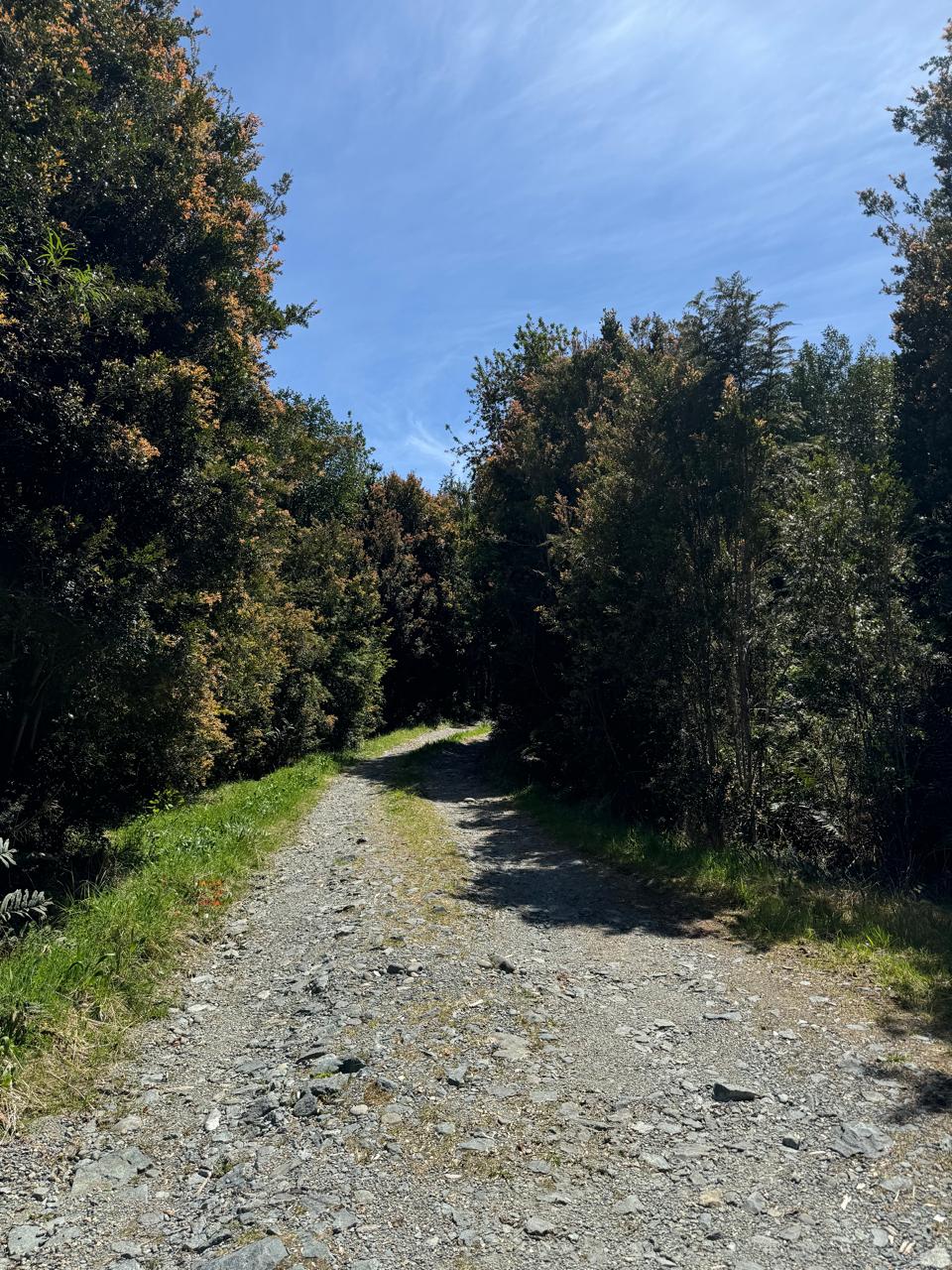 Parcela en venta en Puerto Montt — foto 2