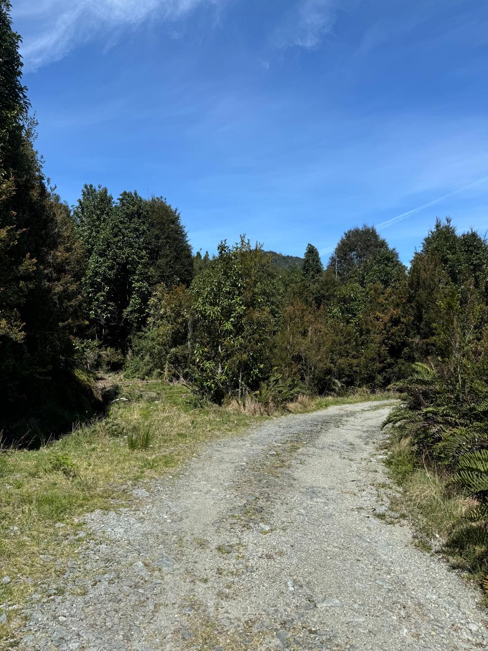 Parcela en venta en Puerto Montt — foto 3