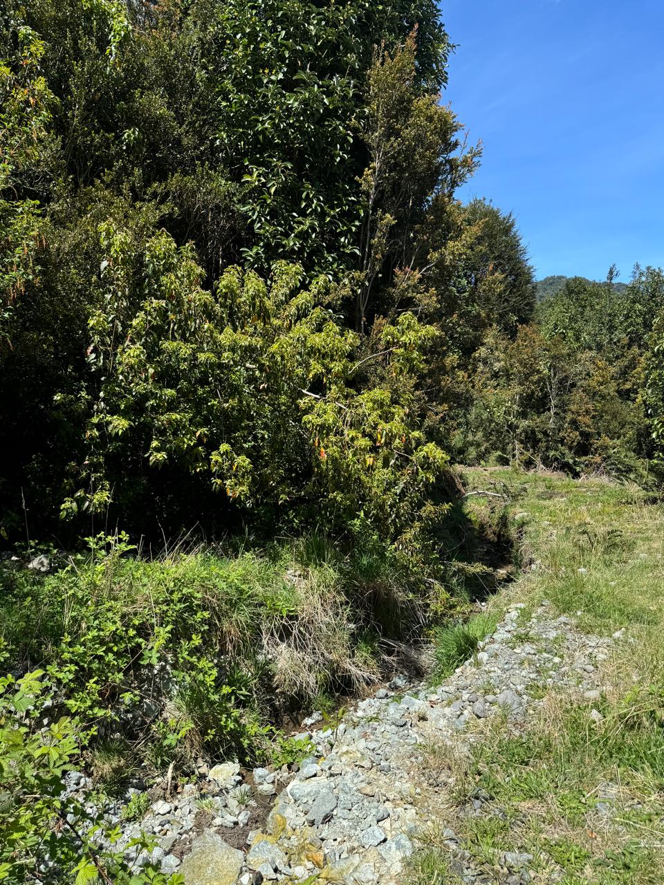 Parcela en venta en Puerto Montt — foto 4