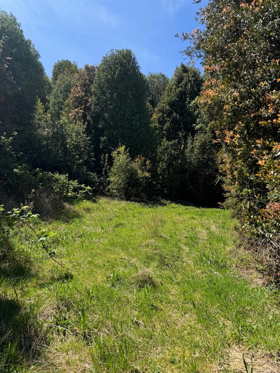 Parcela en venta en Puerto Montt — foto 5