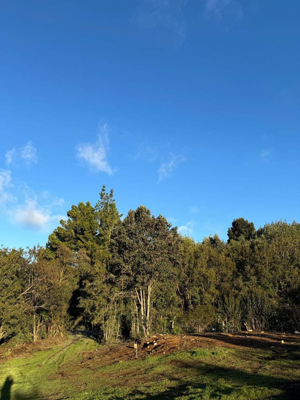 Terreno en venta en Puerto Montt — foto 8