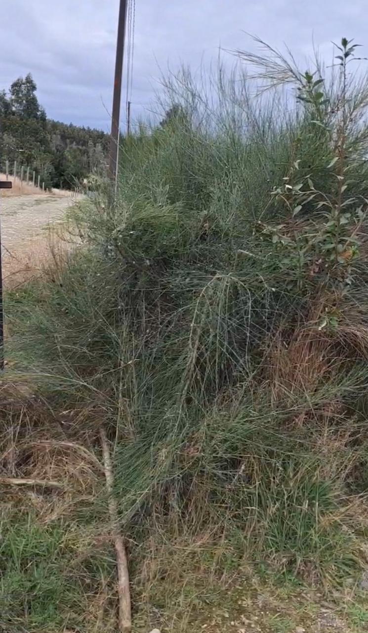 Parcela en venta en Maullín — foto 5