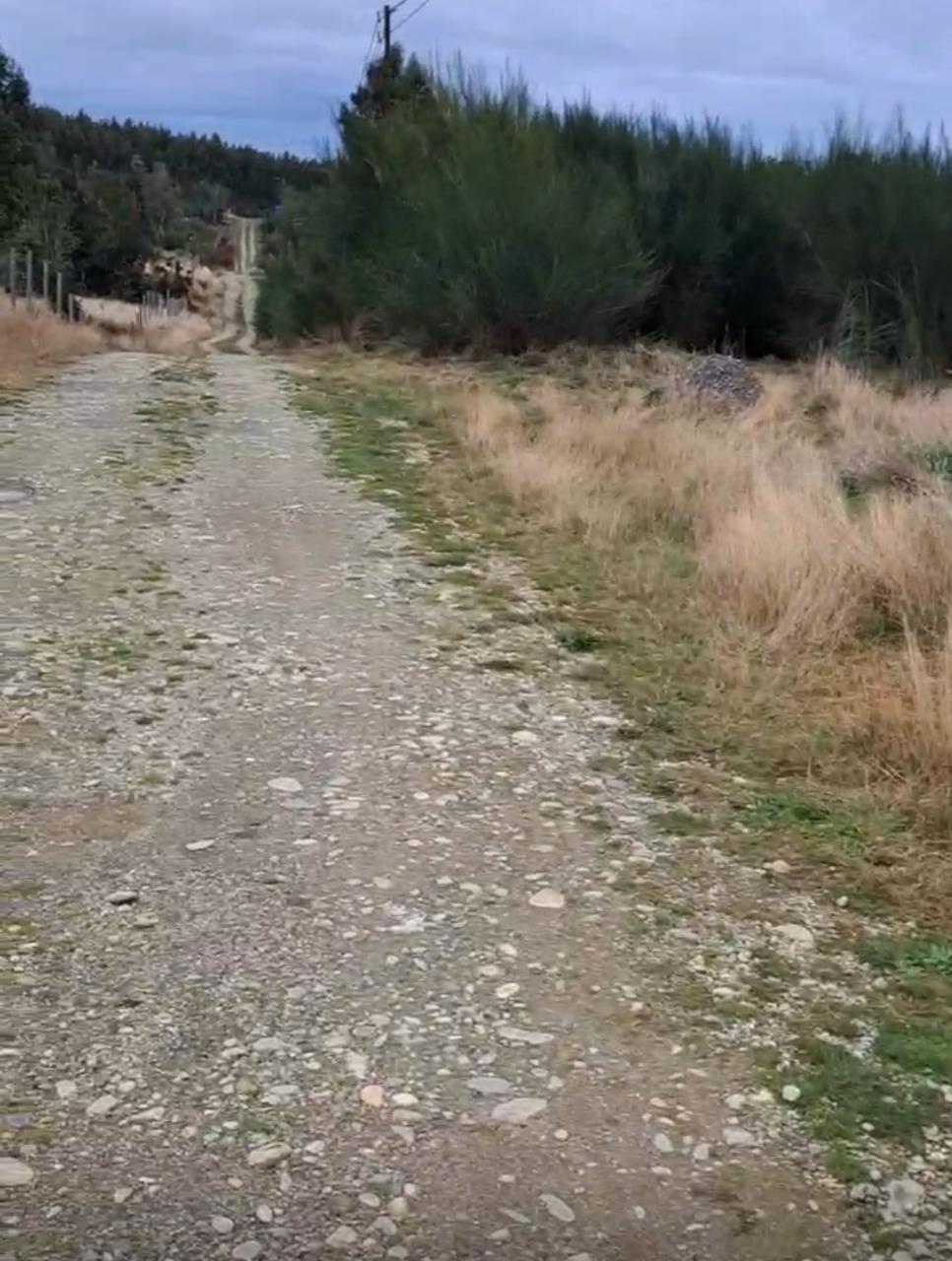 Parcela en venta en Maullín — foto 8