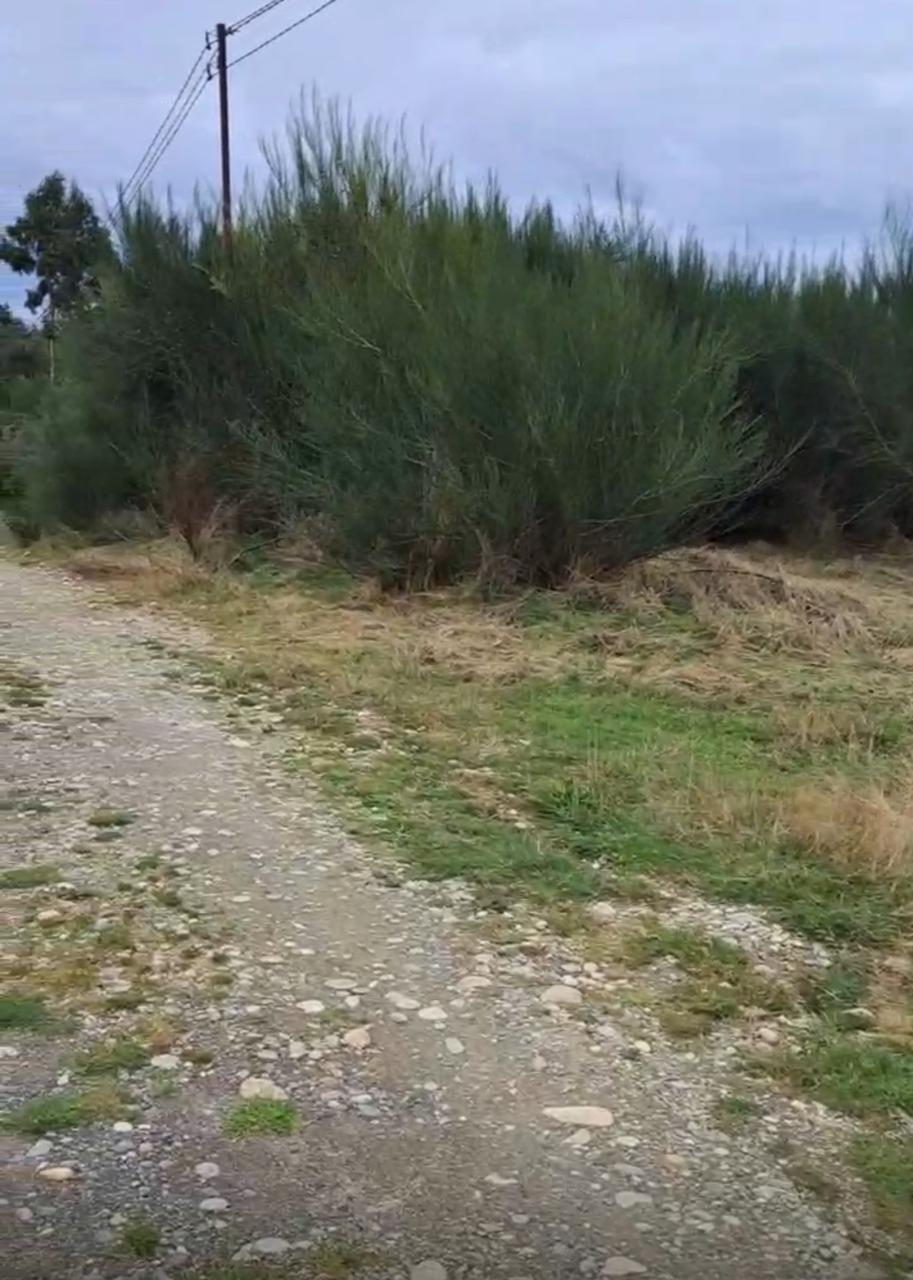 Parcela en venta en Maullín — foto 9