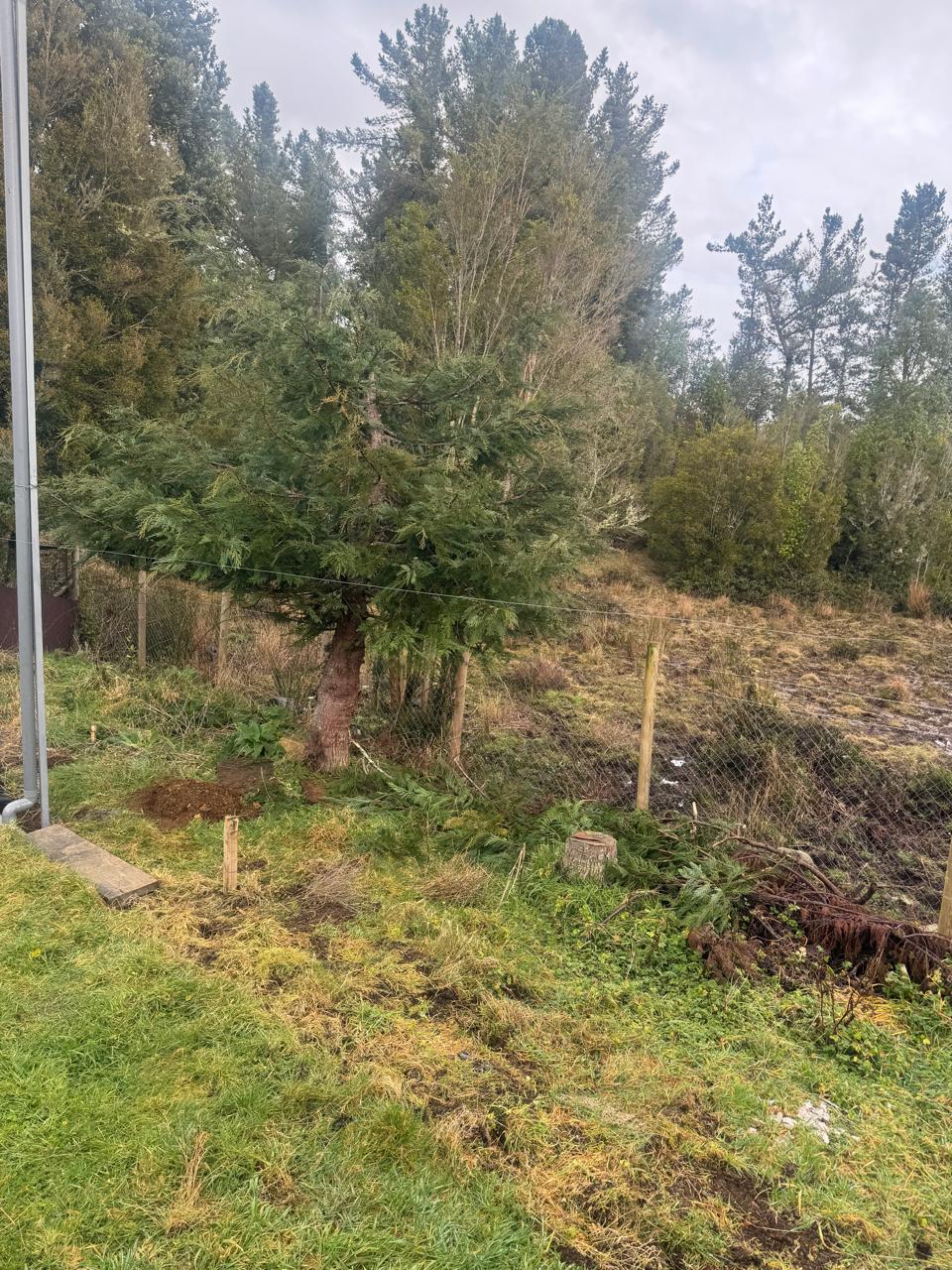 Casa en arriendo en Puerto Montt — foto 10