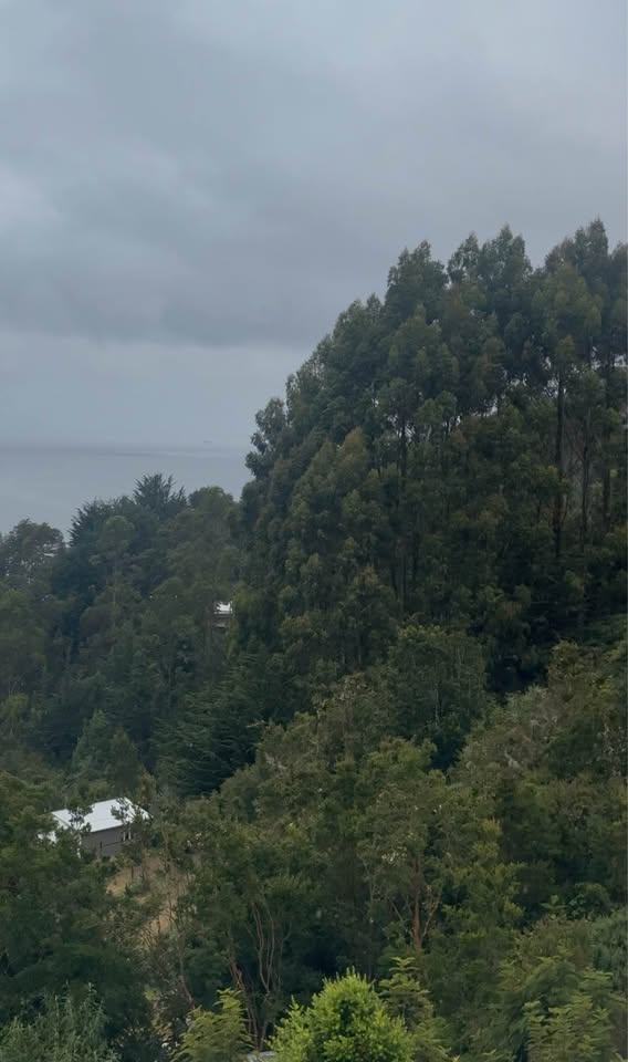 Parcela en venta en Puerto Montt — foto 4