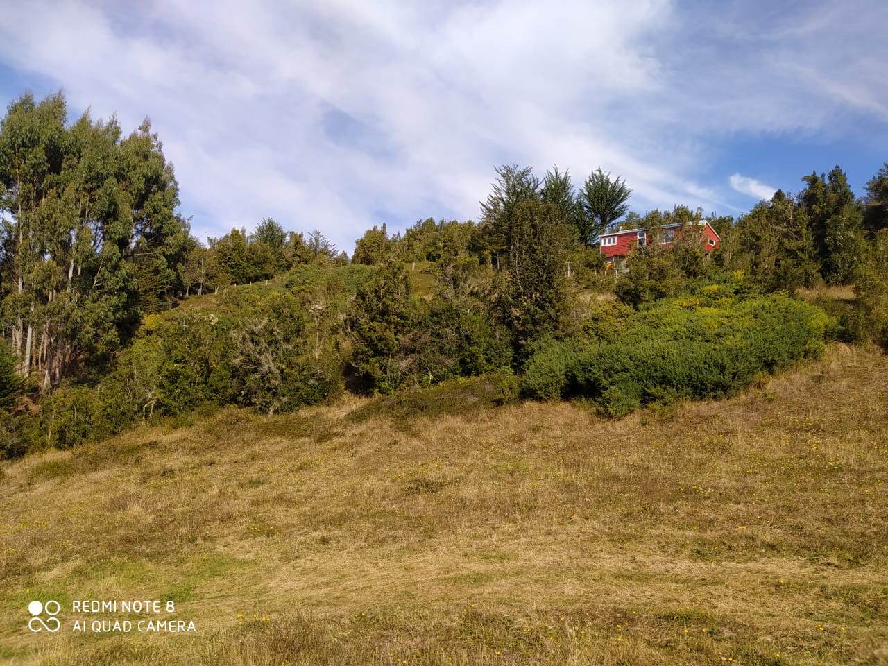 Parcela en venta en Puerto Montt — foto 9