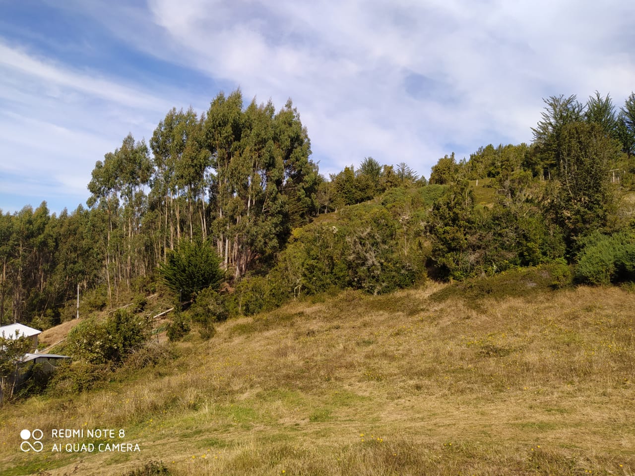 Parcela en venta en Puerto Montt — foto 10