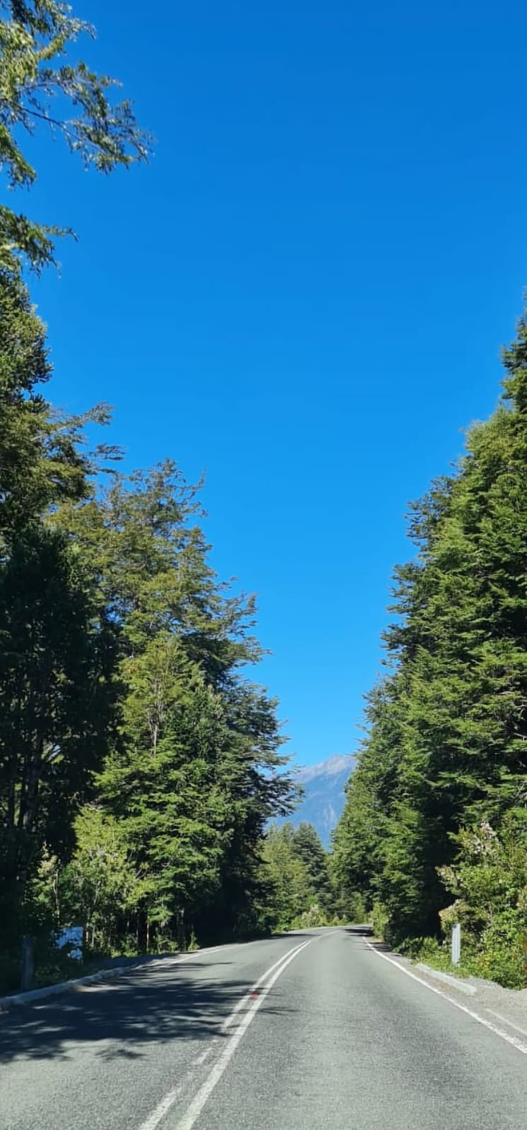 Parcela en venta en Puerto Montt — foto 2