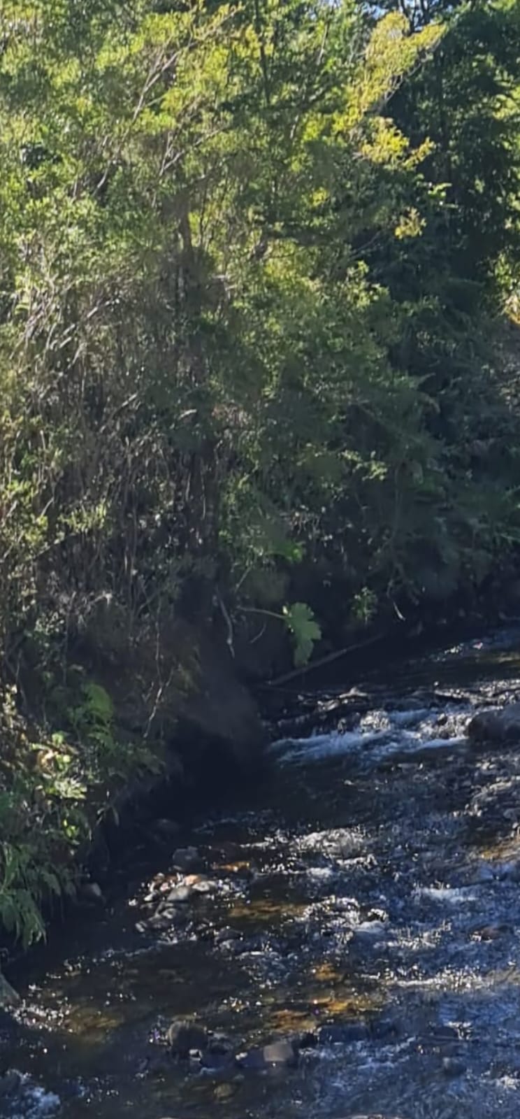 Parcela en venta en Puerto Montt — foto 4