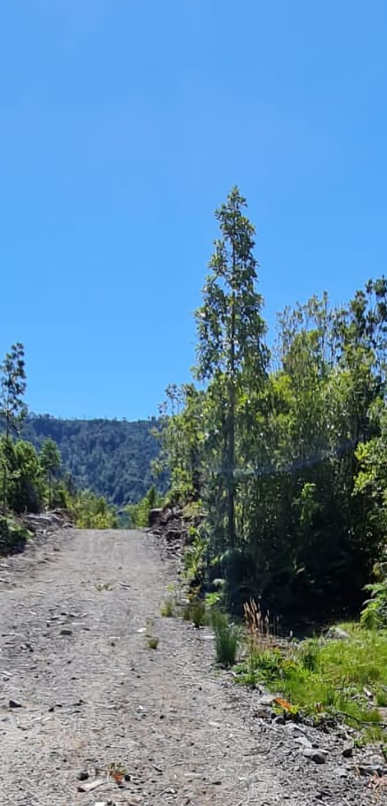Parcela en venta en Puerto Montt — foto 5