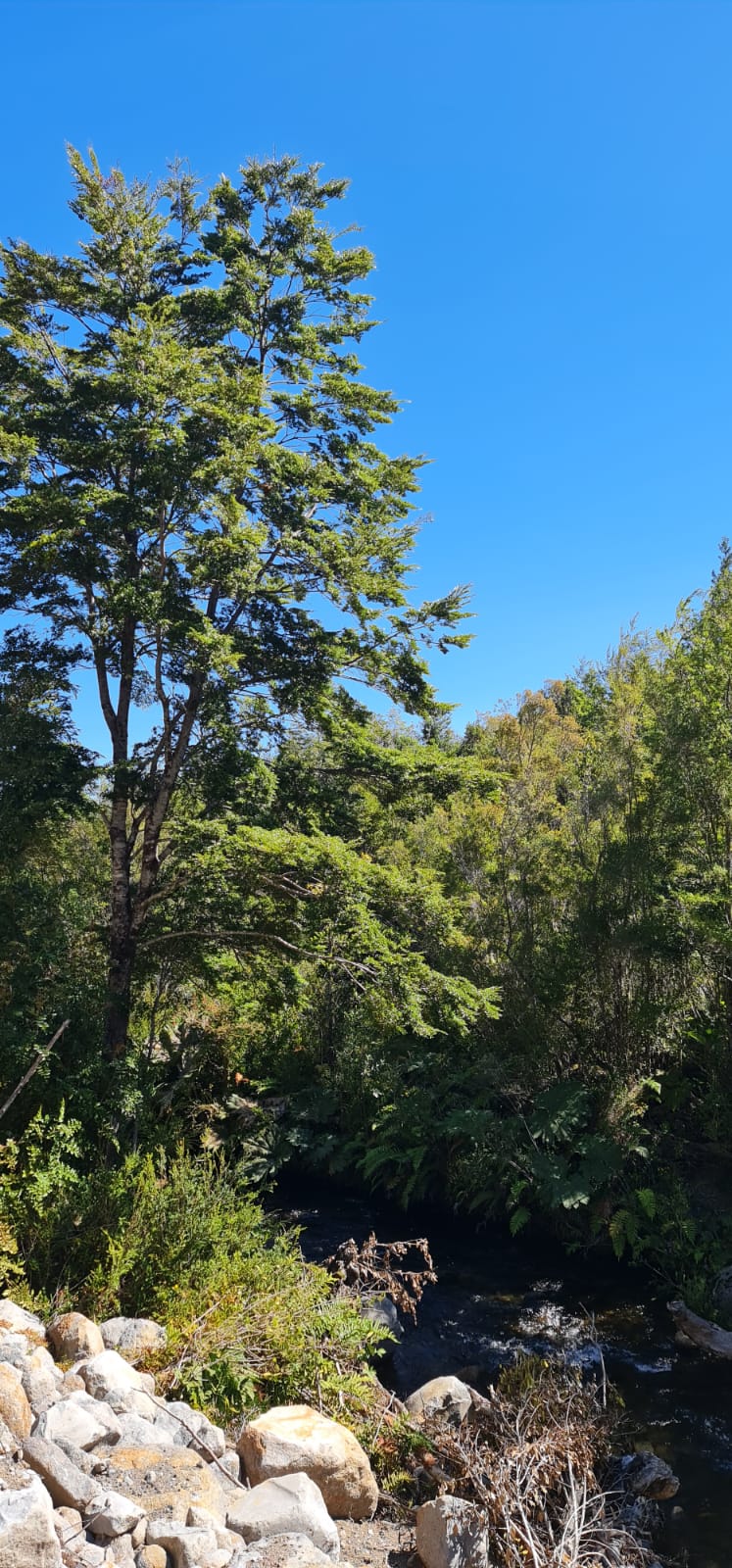 Parcela en venta en Puerto Montt — foto 7