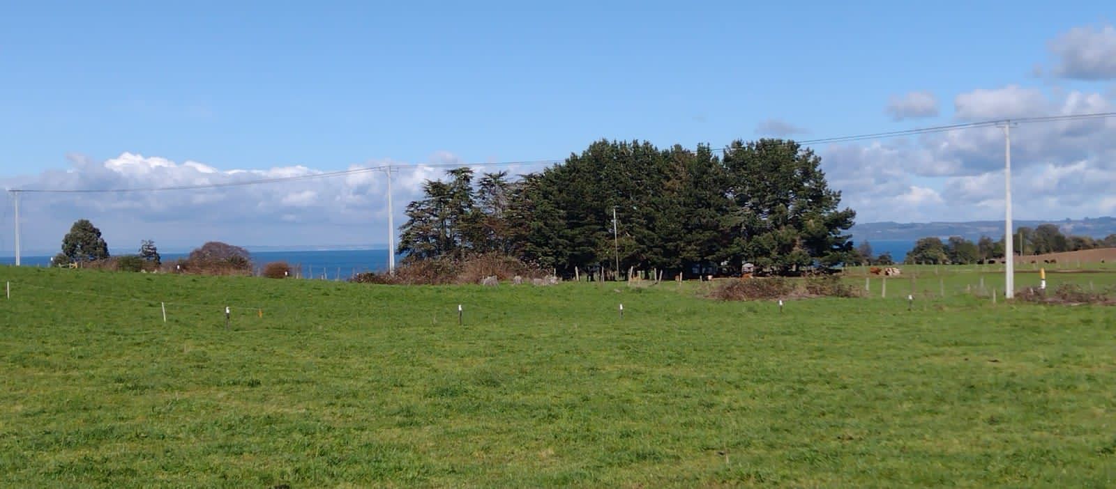 Parcela en venta en Frutillar — foto 2