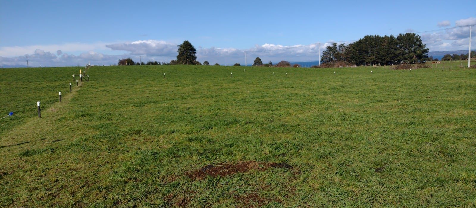 Parcela en venta en Frutillar — foto 3