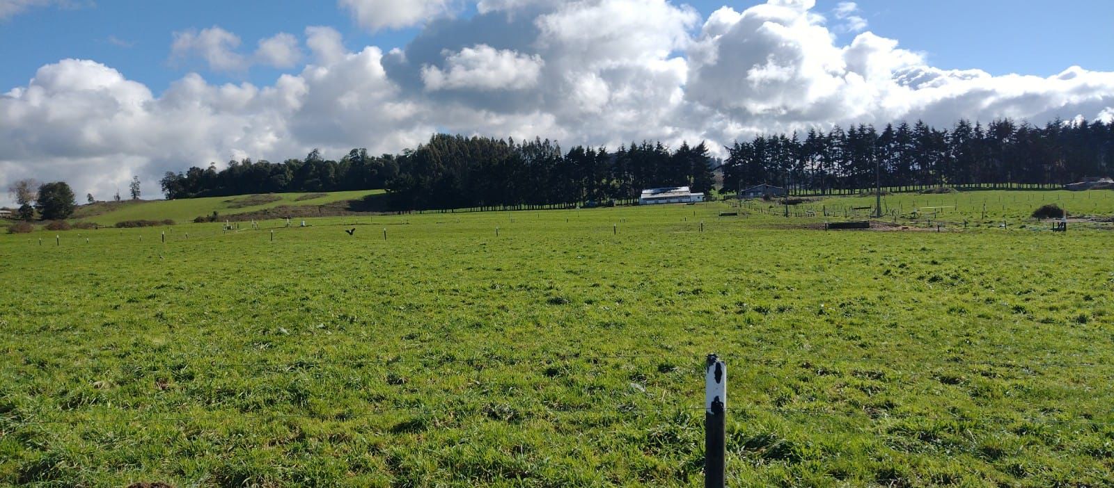Parcela en venta en Frutillar — foto 7