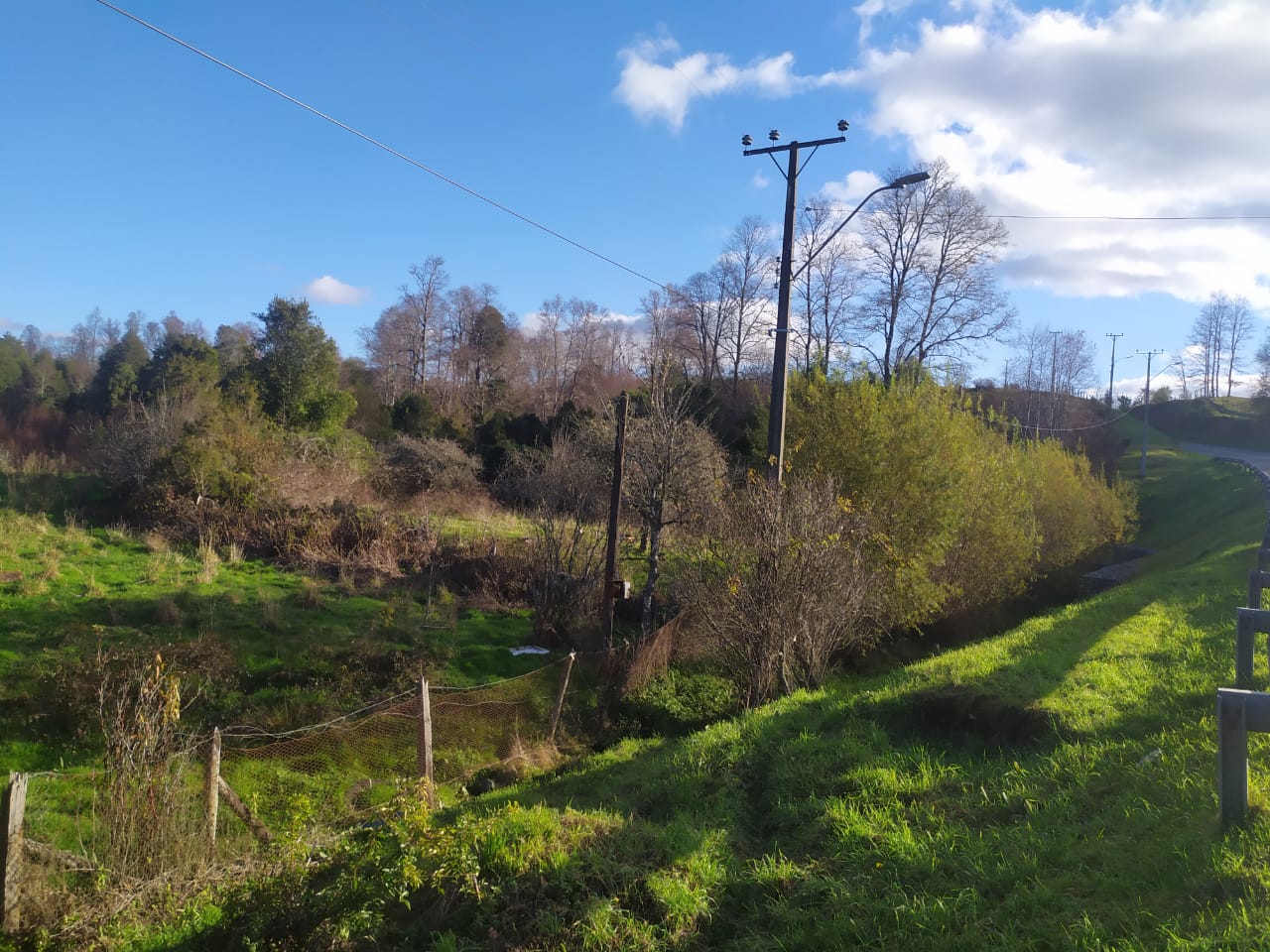 Terreno en venta en Los Muermos — foto 1
