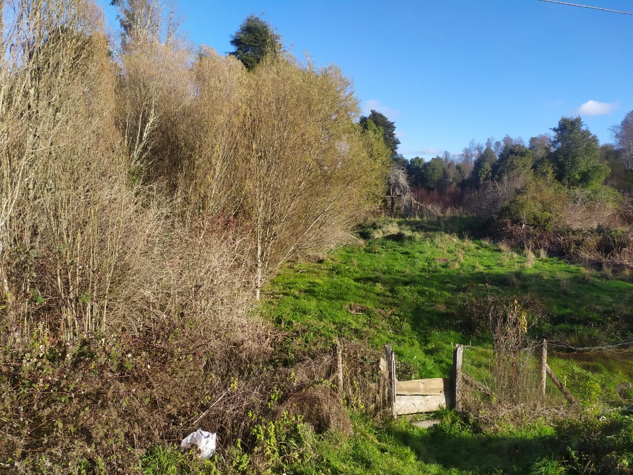 Terreno en venta en Los Muermos — foto 2