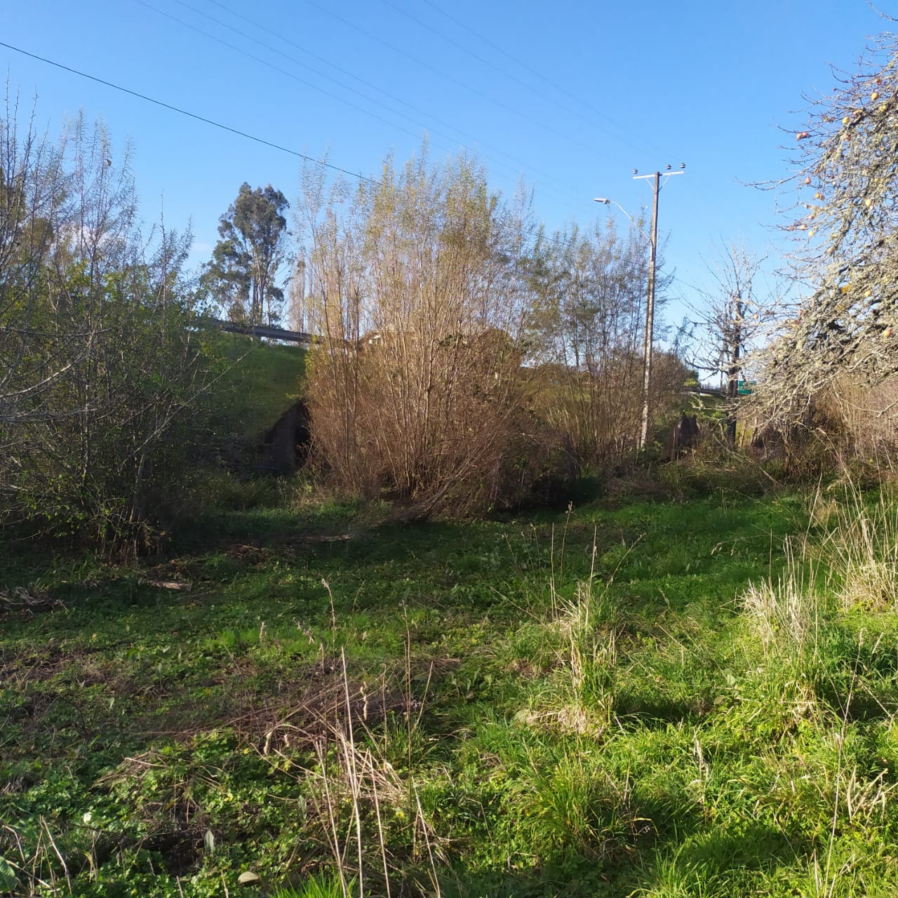 Terreno en venta en Los Muermos — foto 3