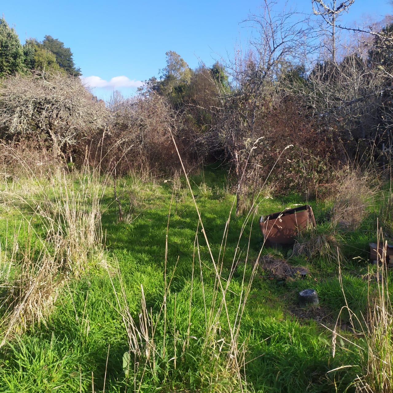 Terreno en venta en Los Muermos — foto 7