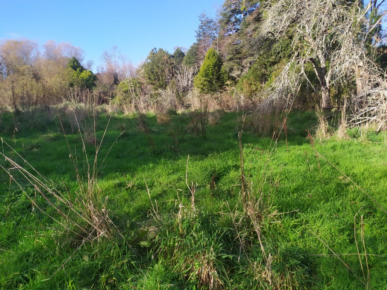 Terreno en venta en Los Muermos — foto 10
