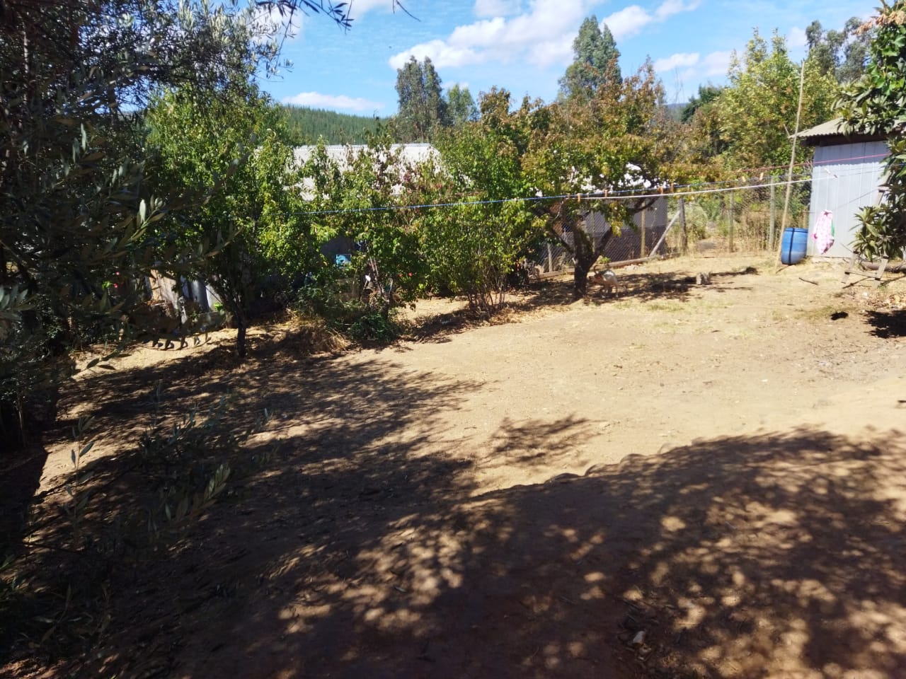 Casa en venta en Curepto — foto 10