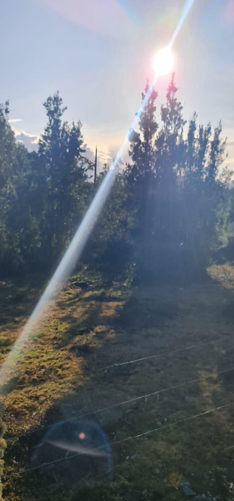 Parcela en venta en Puerto Varas — foto 5