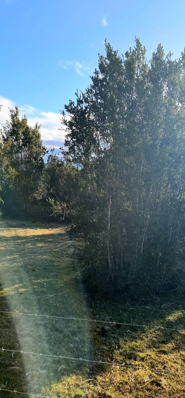 Parcela en venta en Puerto Varas — foto 8