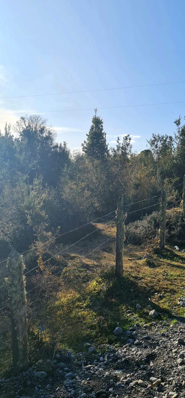 Parcela en venta en Puerto Varas — foto 9