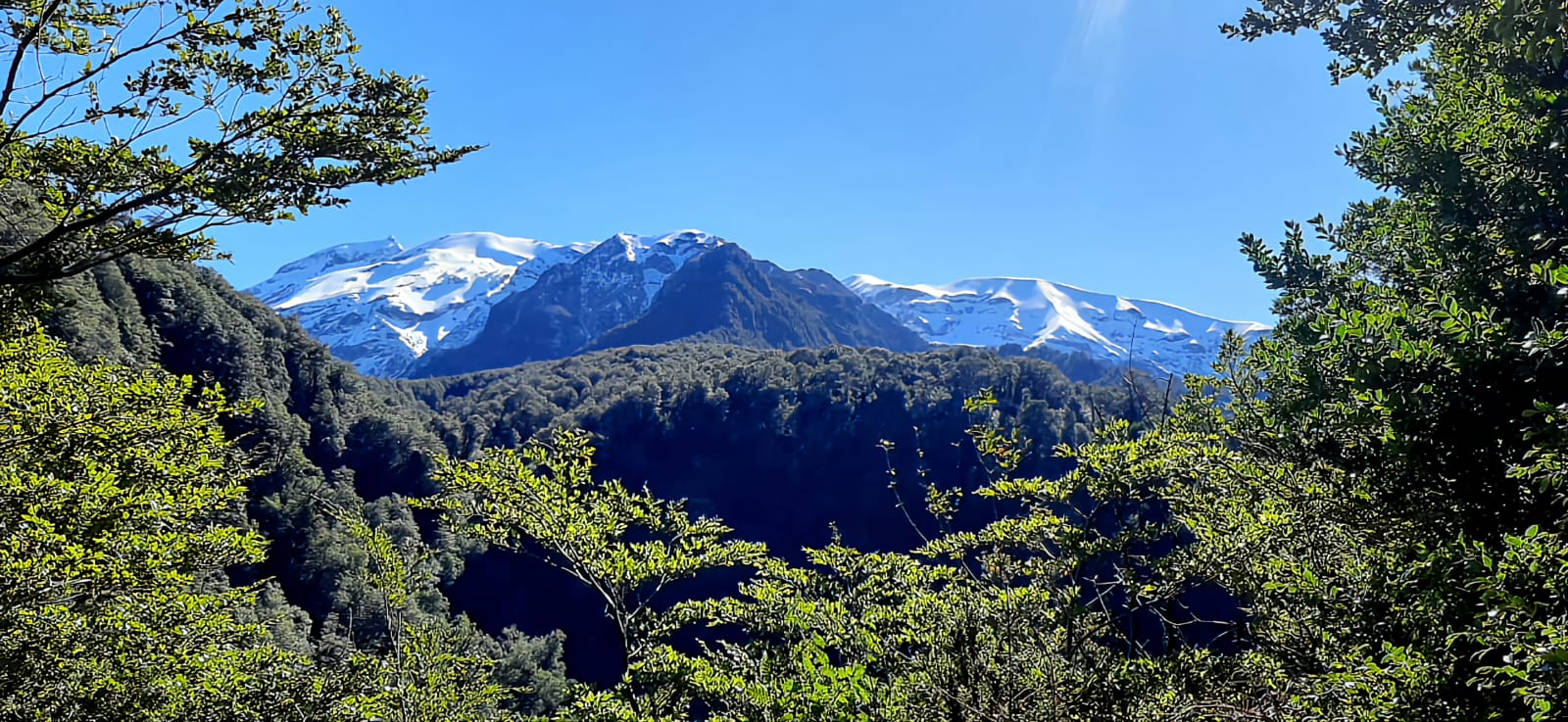 Terreno en venta en Puerto Montt — foto 1