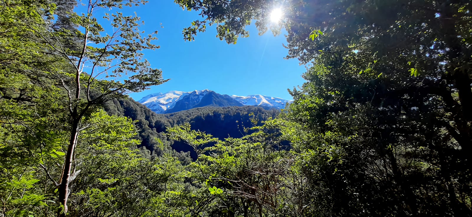 Terreno en venta en Puerto Montt — foto 2