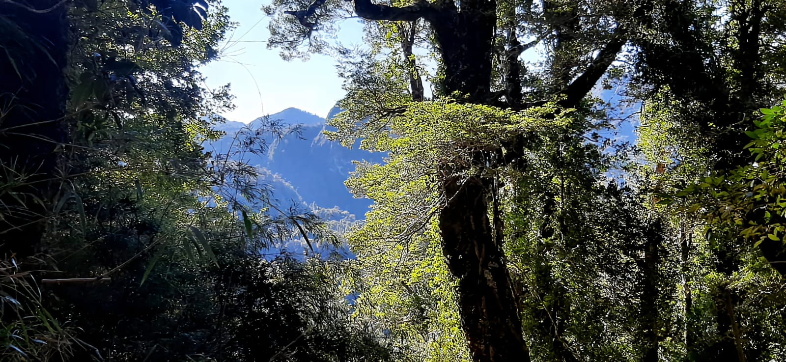 Terreno en venta en Puerto Montt — foto 4