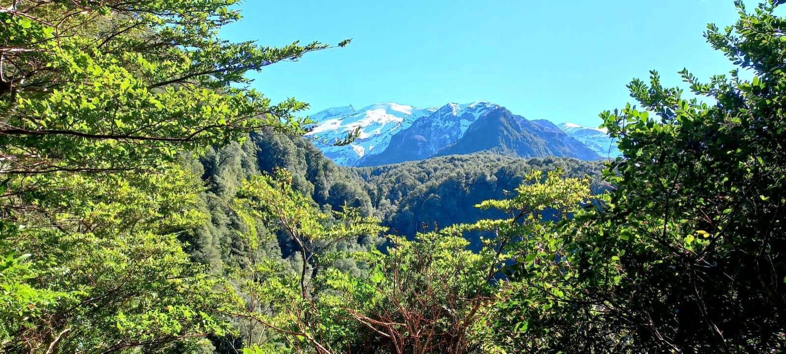 Terreno en venta en Puerto Montt — foto 5