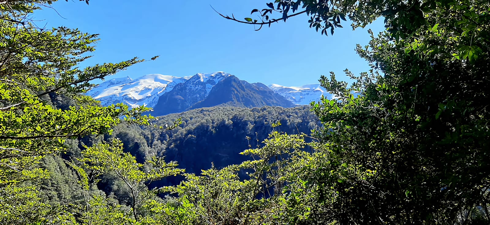 Terreno en venta en Puerto Montt — foto 8