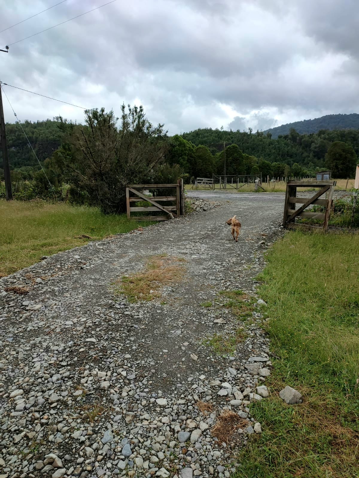 Terreno en venta en Cochamó — foto 3