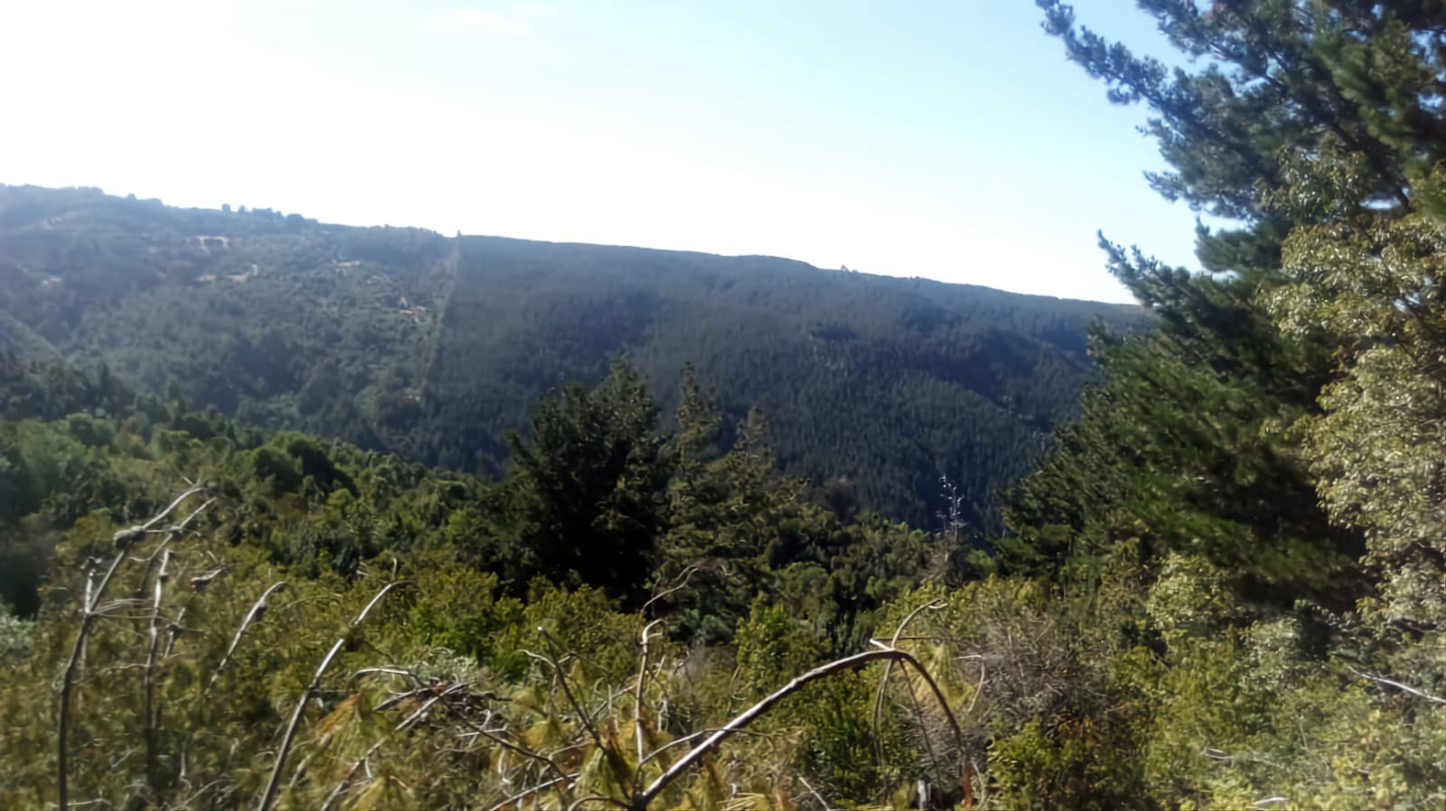 Terreno en venta en Cochamó — foto 9