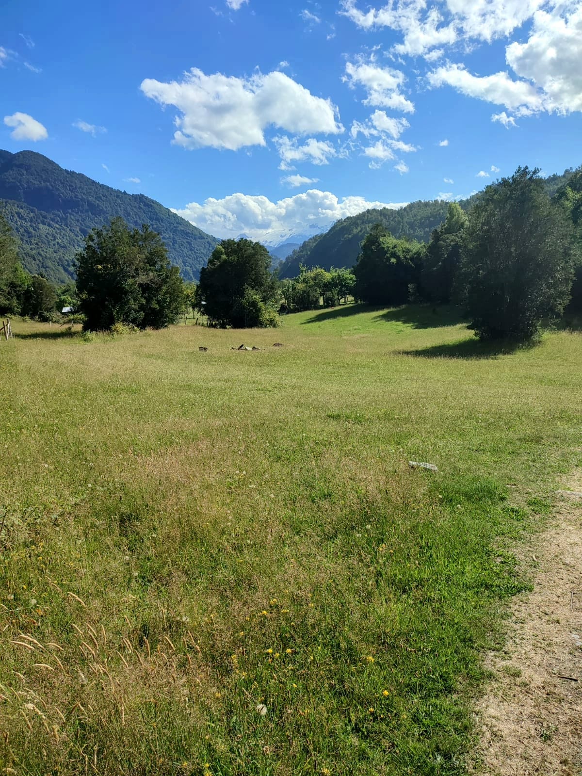 Terreno en venta en Cochamó — foto 10