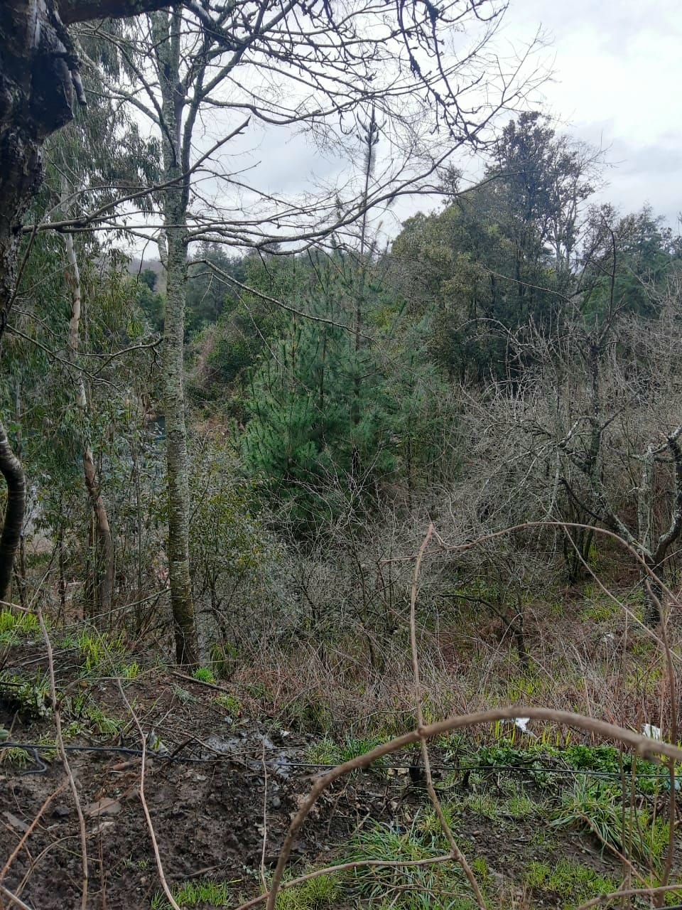 Terreno en venta en Villarrica — foto 9