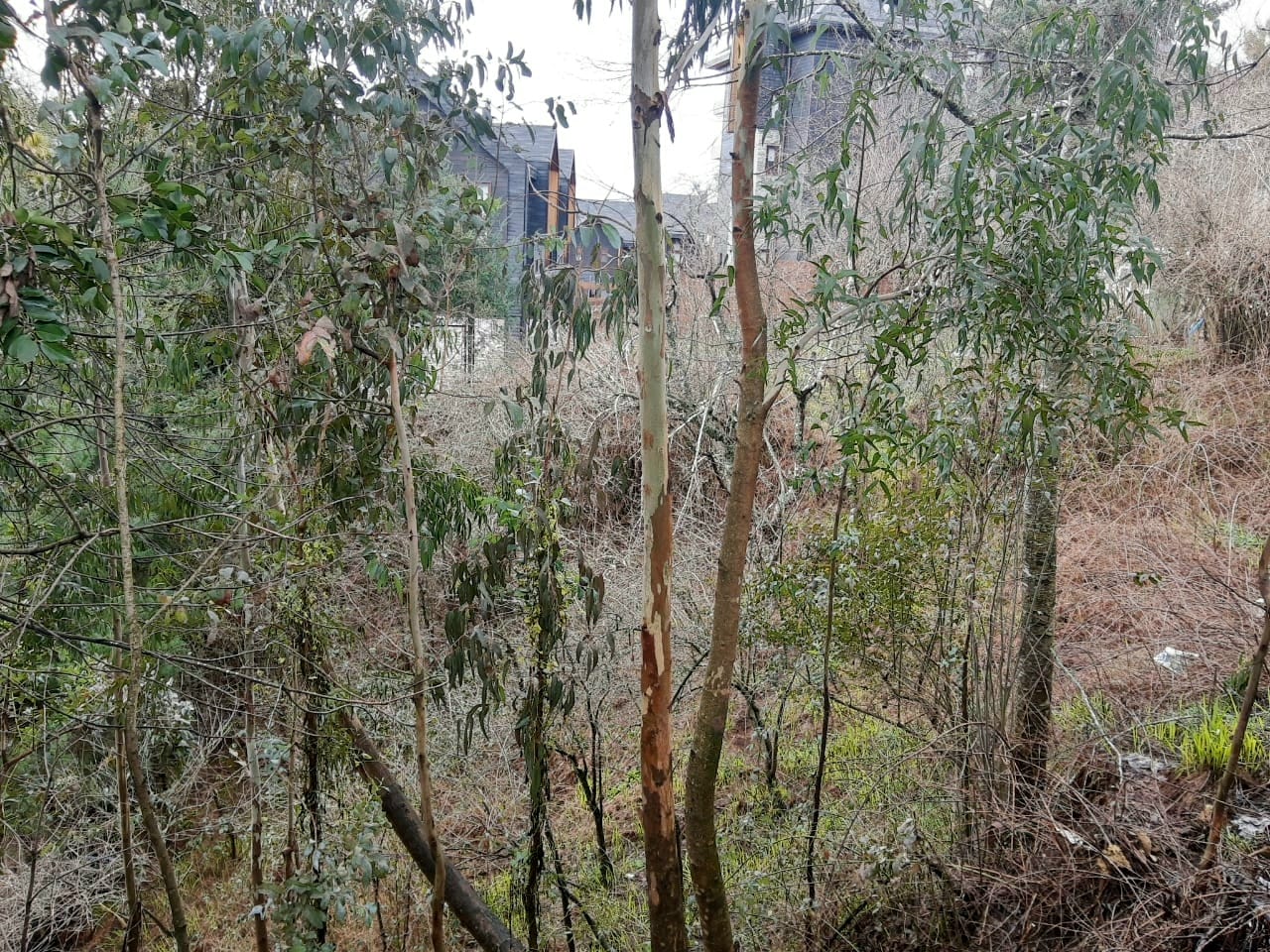 Terreno en venta en Villarrica — foto 10